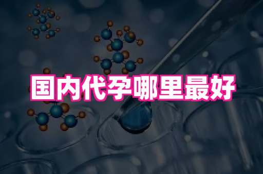 北京助孕网 2