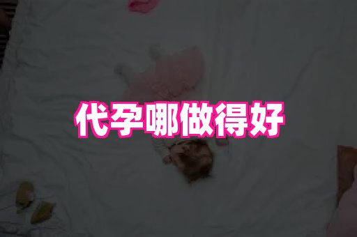 北京助孕网 3