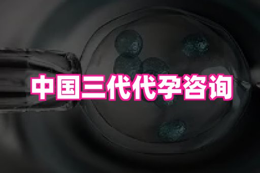 北京助孕网 4